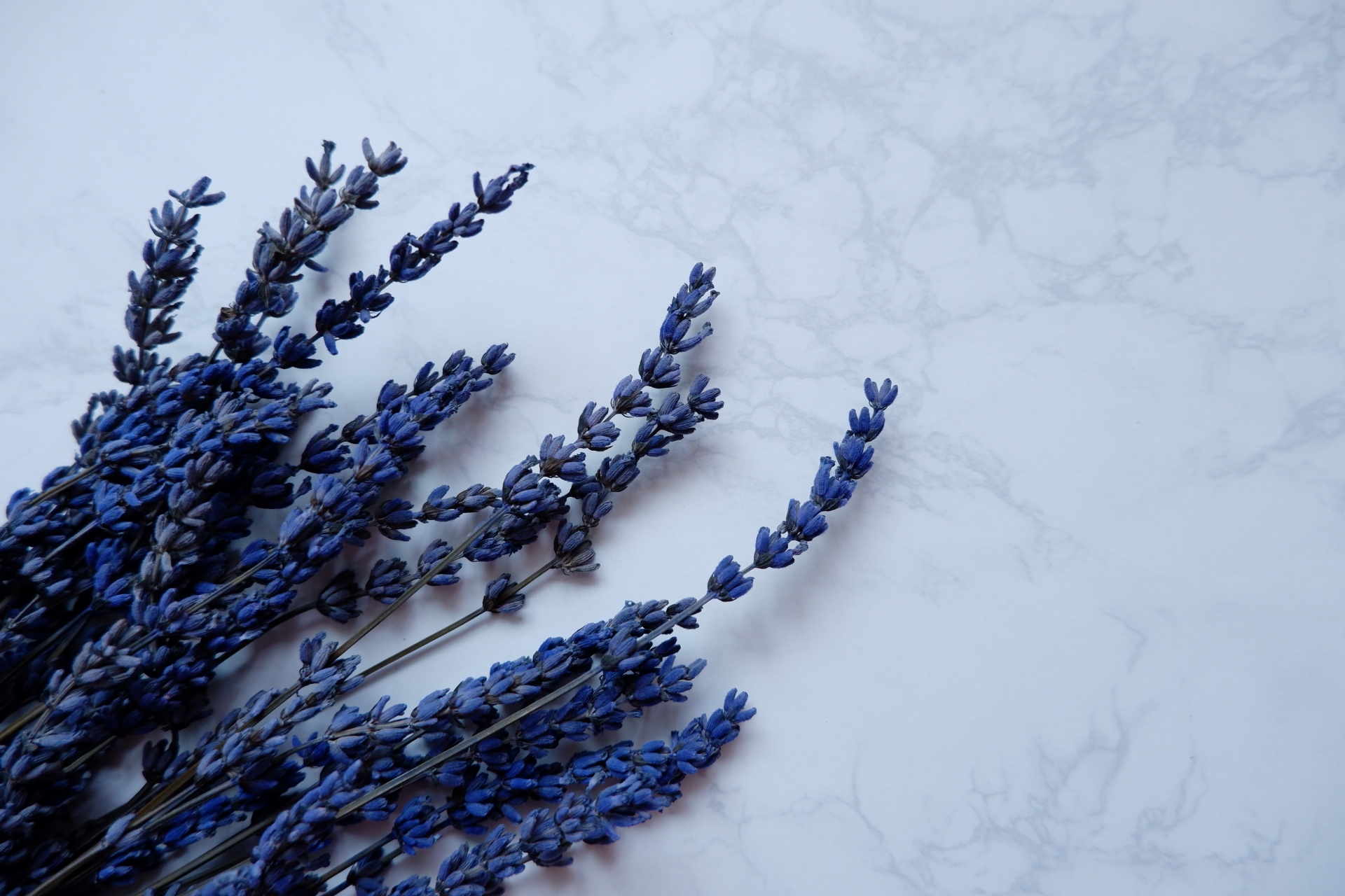 福島ストーンケア　きれいな石材イメージ写真