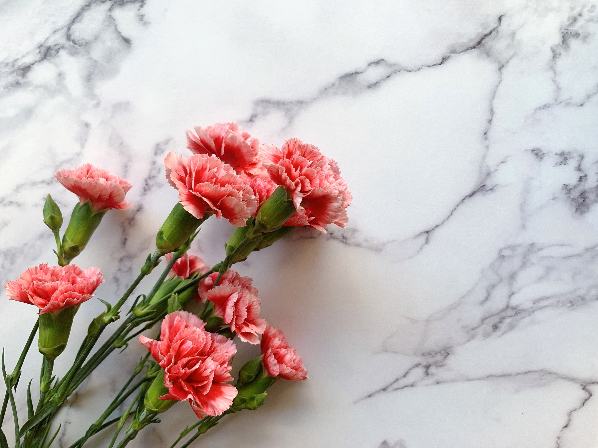 福島ストーンケア　きれいな石材イメージ画像